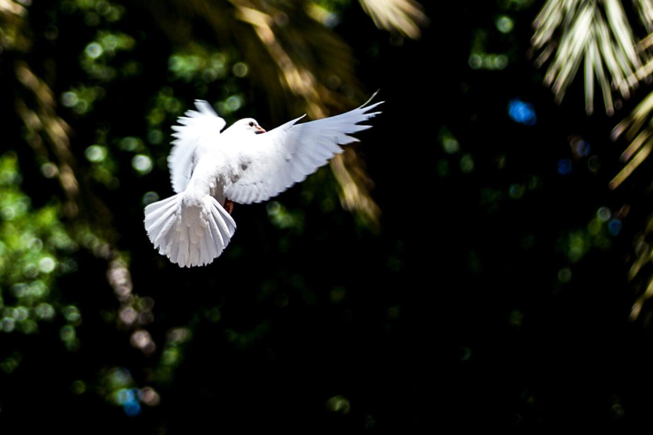 alicante_april2012_086-1536x1025